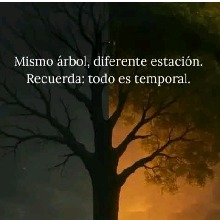 Guest_AbrahanIbarraL