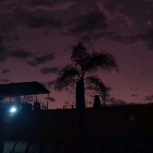 Guest_AntonyOli