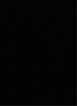 avatar resmi