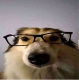 Guest_Daaann