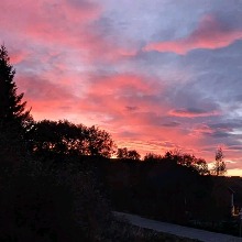 Guest_katrine315977