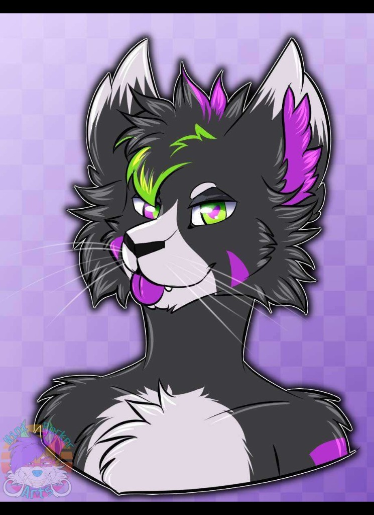 StormTheBlackCat