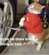 Guest_BLOODFED