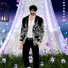 immagine avatar