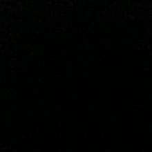 Guest_AylaLorena
