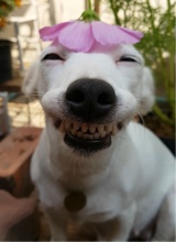 enbby