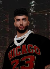 LVWill