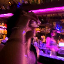 Guest_Taylor798708