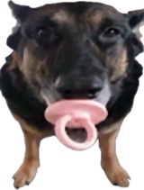 xXJempaiXx