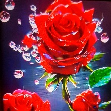 Guest_Maria889792