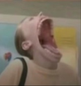 kaidabrat1