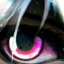 Guest_SUPERLEVELOL