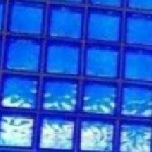 Guest_ImRosalie666