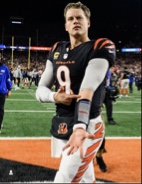 Bengals247