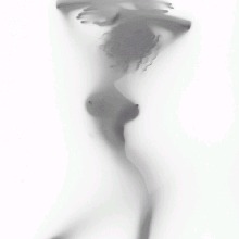 Guest_Txcngs