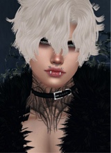 Guest_Morningstar666