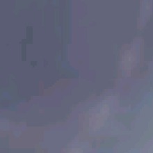 Guest_naiarameiga