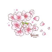 Guest_Sakura88