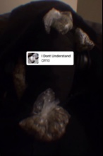 Guest_MarquisWarmington