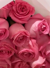 Guest_orchidolivedrabd24e