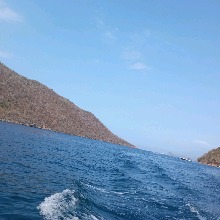 Guest_Piratalugo