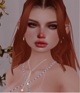 Guest_Xahar