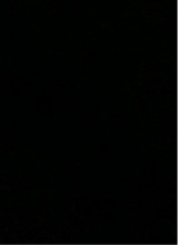 Guest_JacarriBanks1