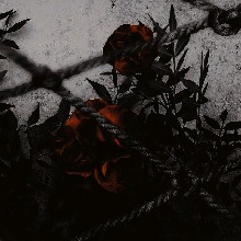 Guest_Jakerin