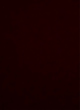 Guest_Blaky7