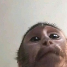 Guest_babyEloisaa