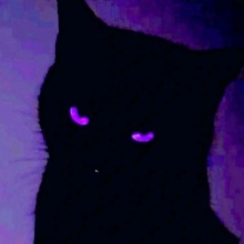 Guest_XxZamzam