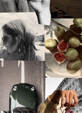 Guest_fatima496433