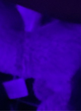 Guest_vchtd