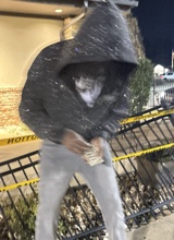 ereyiz