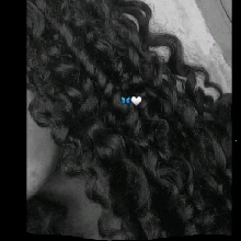 Guest_Emilly945253