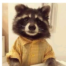 Bonak