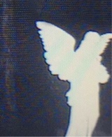 Guest_K13R4