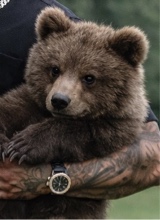 1KingBear