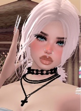Guest_Rayray157505
