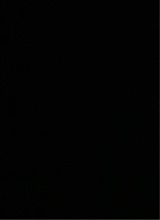 Guest_icyyybri121