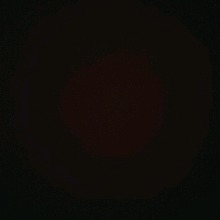 Guest_Jd239010
