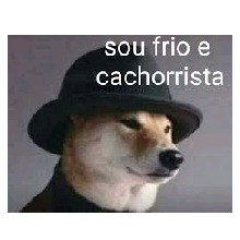 Guest_Gustavo097