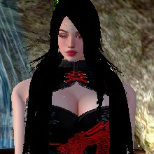 Guest_Orquidia1