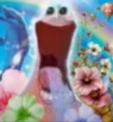 iceykyoto