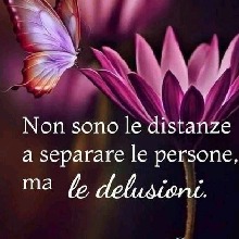 semprelucy