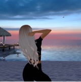 Guest_Vanessa8008