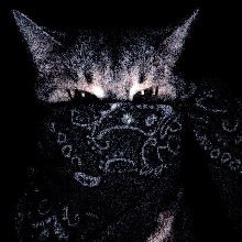 Guest_Darkrh