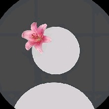 Guest_Kamila643747