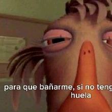 Guest_CarolinaFlorianMartn