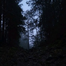 Guest_AllegraaaG44